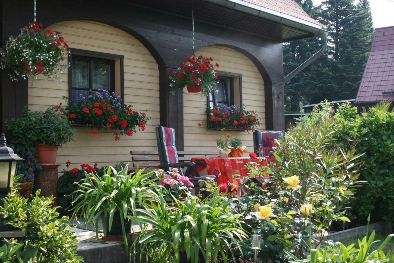 Ferienwohnung Hesse Am Wachberg Saupsdorf ภายนอก รูปภาพ